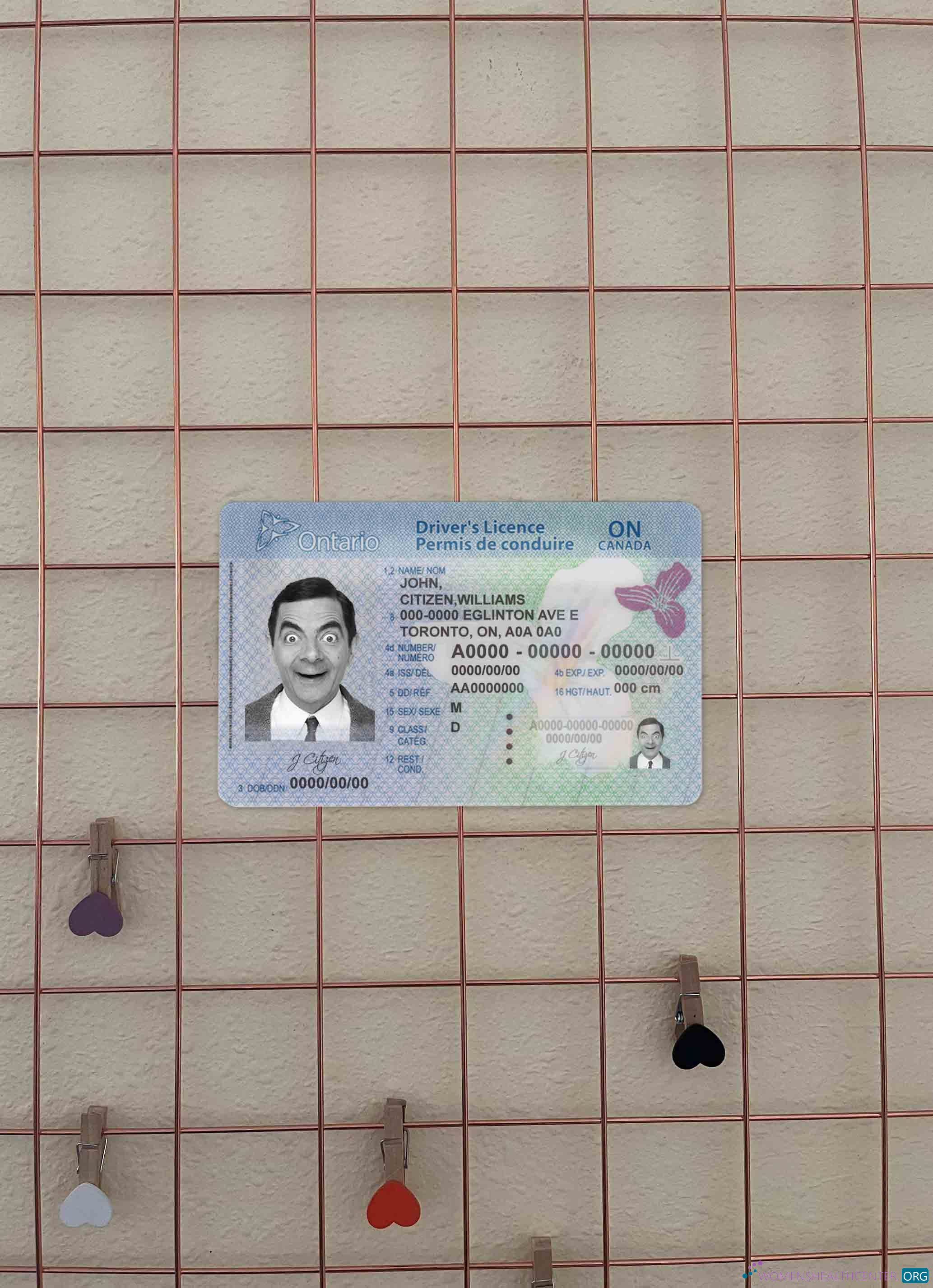 Download Canada Ontario DL (2018 – present) photolook FRONT Photoshop template